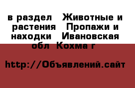  в раздел : Животные и растения » Пропажи и находки . Ивановская обл.,Кохма г.